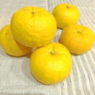taro-taro-taro