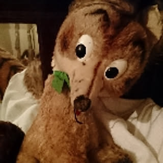 pierre