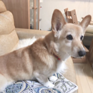 mkeiko38.118