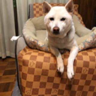 izumi