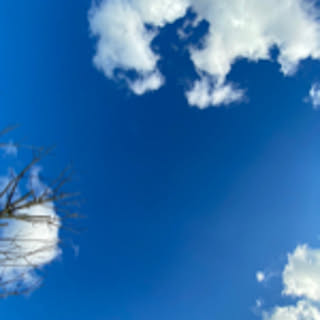 bluewhite