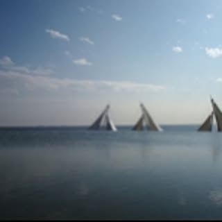 nookoryokucha