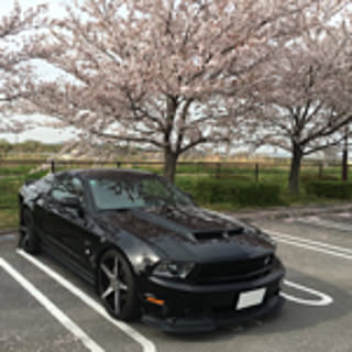 GTmustang77