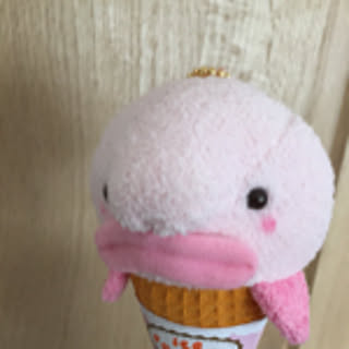 imoankt