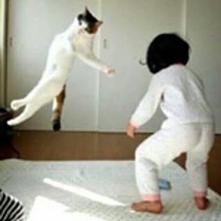 1205