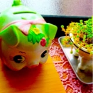 tomosama