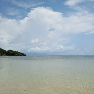 UC-KT