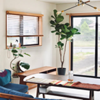 hikari__home