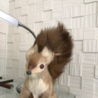 mizucchi