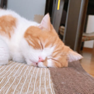 Miri
