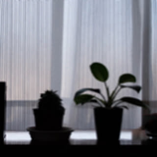 oharu_123