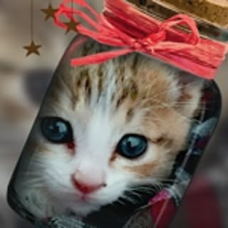 maron