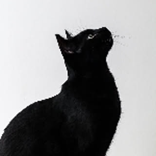 yuki