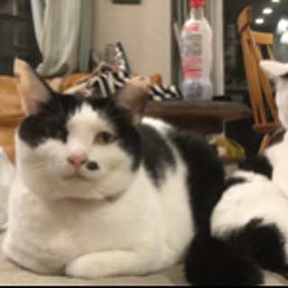 hana