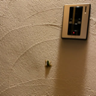 ono