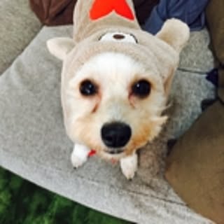 nyam_nyam