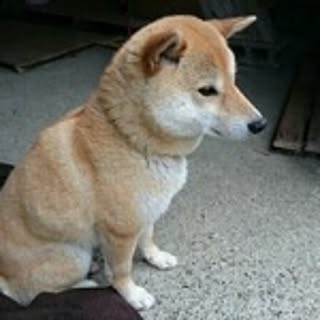 miwa