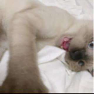 akyzxxxx