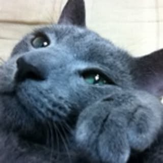 Chossy