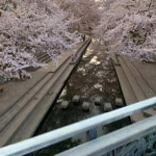 Keito