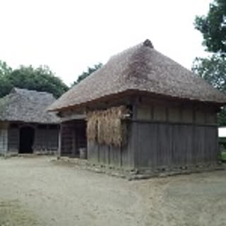 azuki