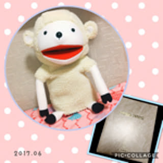 eringo
