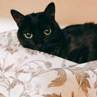 yuka.