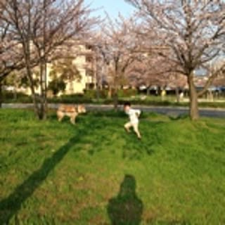 kaorin