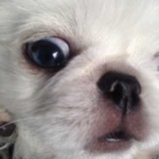 hiro