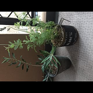 water_mashroom