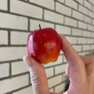pyoco