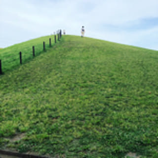 mattsun0218