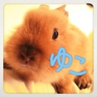 yuko731