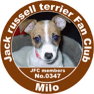 milo