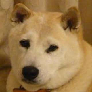 Atuko
