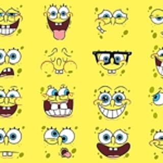sponge.y