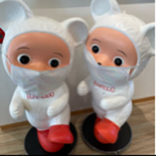 usami_pro