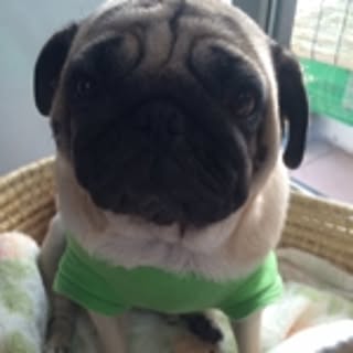 ciyo