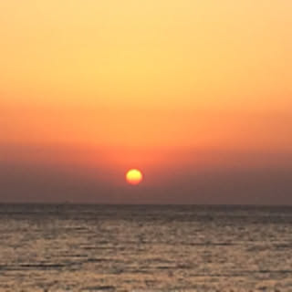 tomo1.1.1