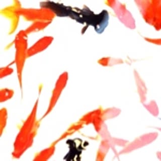 Yoshiki