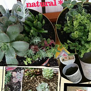 natural