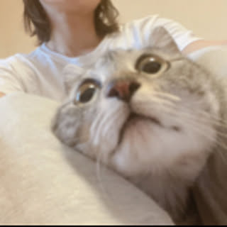 neru