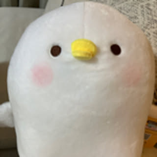 sakutaro