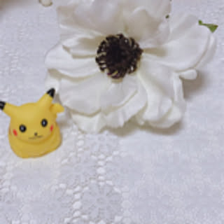 pikayui3