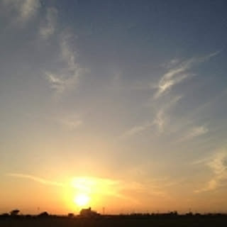 omamecha_n