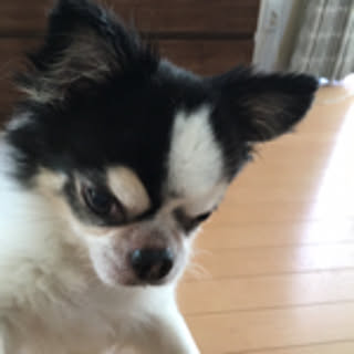 yumi
