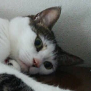 ririnonon
