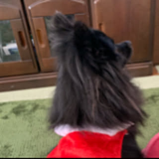 Daning_Bomb