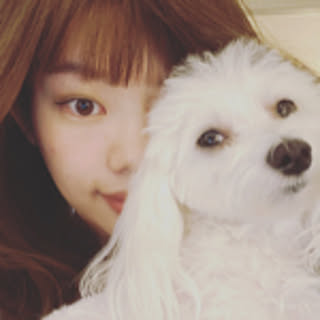 Chiharu.O