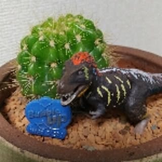 sonosono2